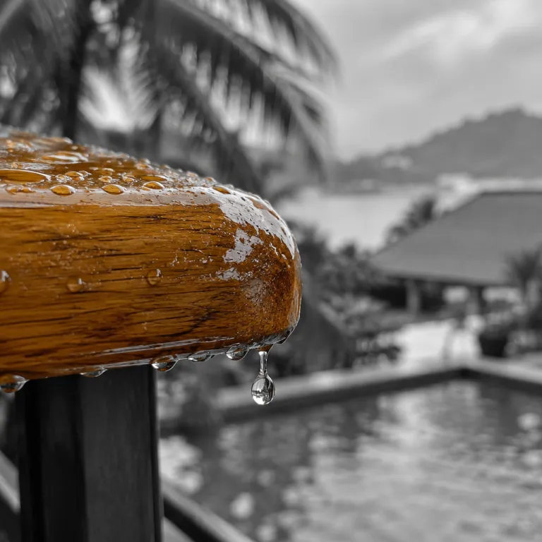 October in Saint Lucia: Green Season's Last Call Before the Winter Rush
